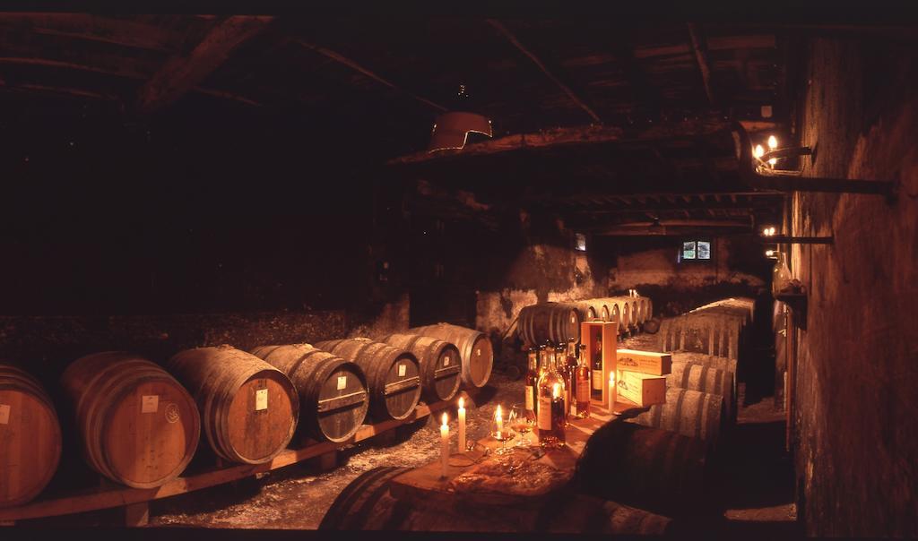 Chateau Du Prada Labastide-dʼArmagnac エクステリア 写真